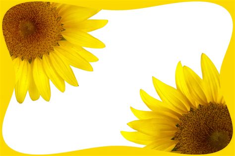 Sunflower Frame Free Stock Photo - Public Domain Pictures