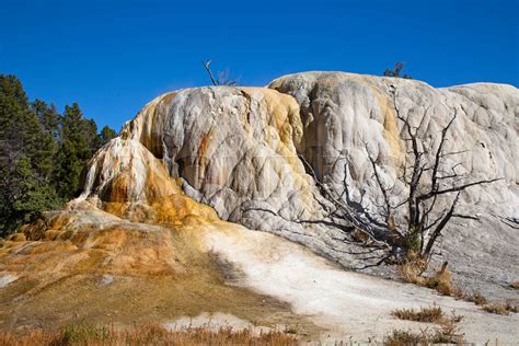 Mammoth hot springs | Stock image | Colourbox