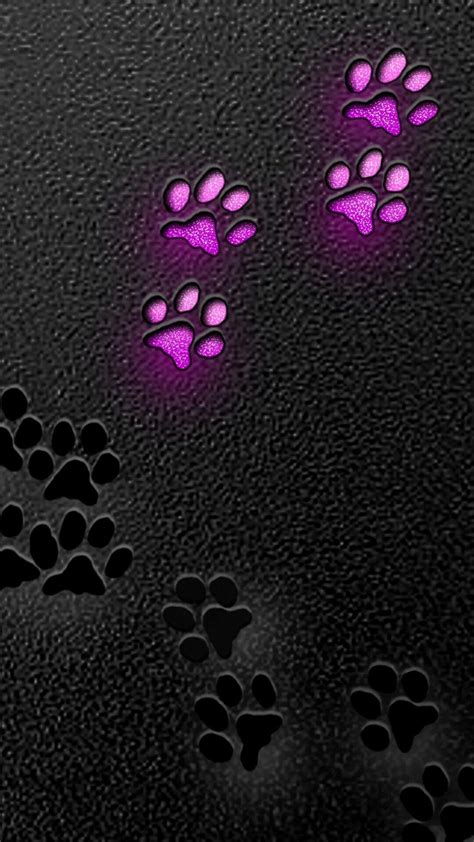 Dog Paw Wallpapers - Top Free Dog Paw Backgrounds - WallpaperAccess