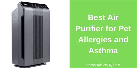 Best Air Purifier for Pet Allergies and Asthma [According to Experts]