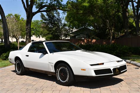 1982 Pontiac Firebird | Primo Classics International LLC