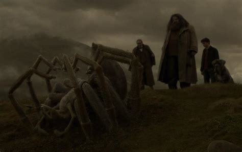 Encuentran una tarántula similar a Aragog, la araña del Bosque Prohibido de "Harry Potter ...