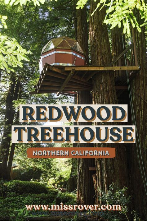 Redwood Treehouse Airbnb in California: Ultimate Redwood Getaway - Miss Rover