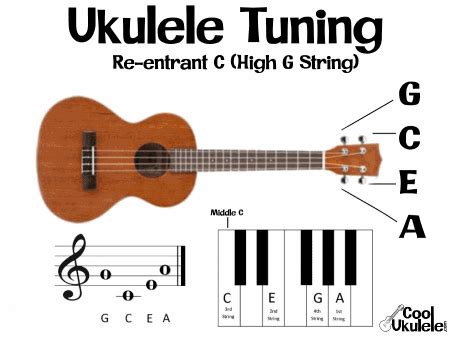 What are the notes on a ukulele tuning fretboard notes on staff etc ...