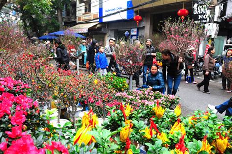 Tet Flowers & Plants