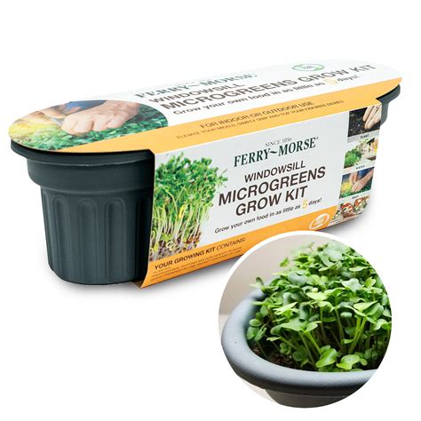 Microgreens Grow Kit Deal