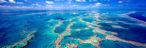 Great Barrier Reef Photos, Hardy Reef Print - Mark Gray Fine Art ...