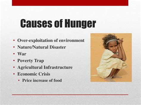 PPT - World Hunger PowerPoint Presentation, free download - ID:2761500