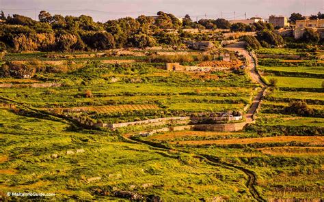 The Ultimate Guide to Weather in Malta in February