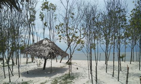 Pantai Mangrove Serdang Bedagai - Daya Tarik, Aktivitas Liburan, Lokasi & Harga Tiket - Pesisir