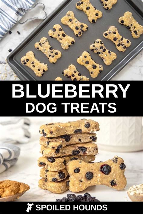 Homemade Blueberry Dog Treats Recipe - Spoiled Hounds
