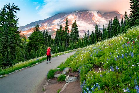 10 JAW-DROPPING Things to Do at MT. RAINIER NATIONAL PARK