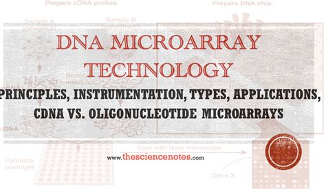 DNA Microarray Technology: Principles, Instrumentation, Types ...