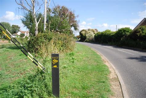 Wildlife verge, Pett Level Road © N Chadwick :: Geograph Britain and Ireland