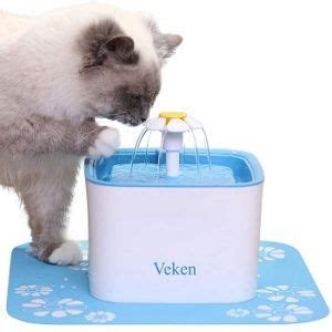 Best 5 Cat Water Dispensers On The Market In 2022 Reviews