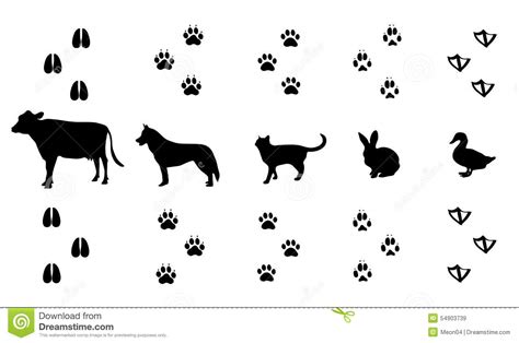 Rabbit tracks clipart - Clipground