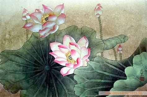 SACRED LOTUS.......CHINESE PAINTING.....YAHOO IMAGES...... | Lotus art ...