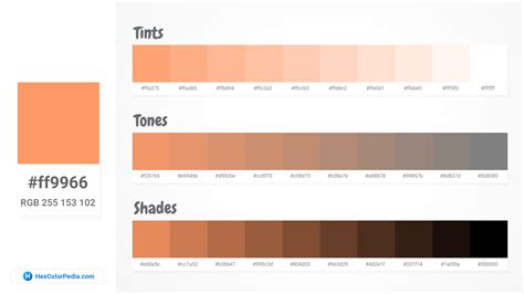 What is the color of Atomic Tangerine | Hexcolorpedia