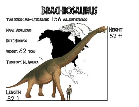 Discover Fascinating Facts about Brachiosaurus