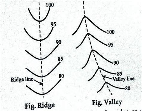 Ridge Line And Valley Line In Contour - Connie Celestina