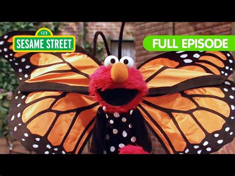 Elmos Butterfly Friend | Sesame Street Full Episode - Videos For Kids