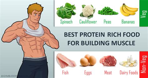 Protein Rich Foods For Building Muscle