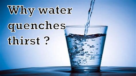 Why water quenches thirst? - YouTube