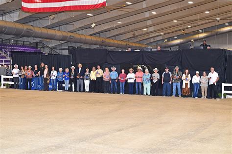 Paso Fino Horse Association’s 50th Anniversary - PFHA