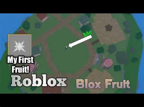 Spike fruit blox fruits