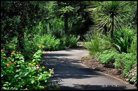 The State Botanical Gardens of Georgia - Orval J Salisbury