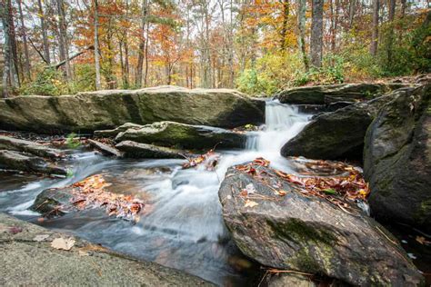 Talladega National Forest Camping Guide - Beyond The Tent