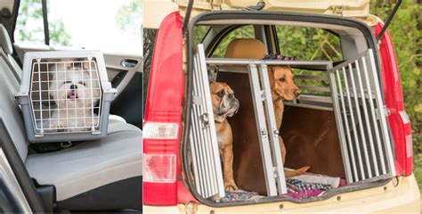 7 Best Dog Crates and Carriers for Car Travel | Reviews and Comparisons