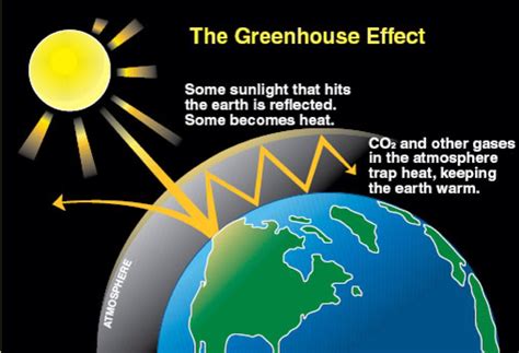 What is the difference between the greenhouse effect and global warming? | Socratic