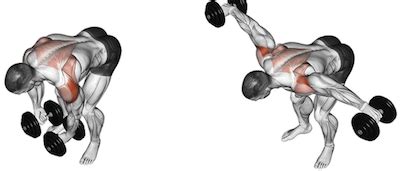 The Dumbbell Rear Delt Fly 101 | How To Train Your Rear Deltoids!