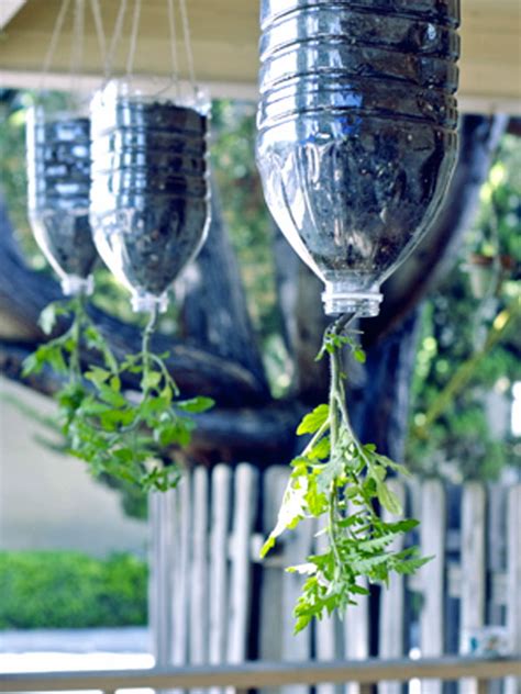 9 DIY Plastic Bottle Garden Projects - Naturebring