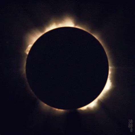 Eclipse GIF - Sun SolarEclipse Eclipse - Descubre & Comparte GIFs | Gif, Eclipse, Gifs