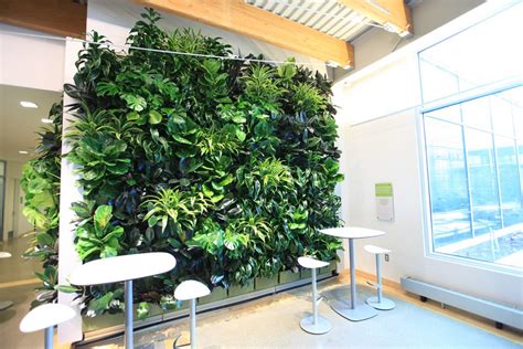 LiveWall | Vertical Plant Wall System