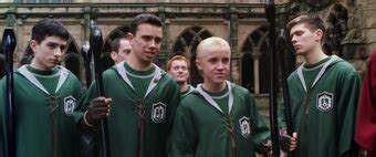 Slytherin Quidditch Team