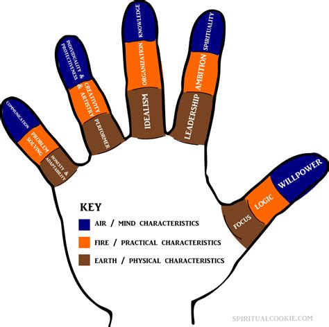 Palmistry: Reading Finger Signs & Meaning of Parts of Fingers ...