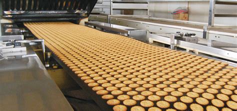 biscuit manufacturing machine | homify