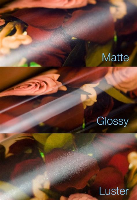 What is the difference between Matte, Glossy, and Luster? | Gina Kelley ...