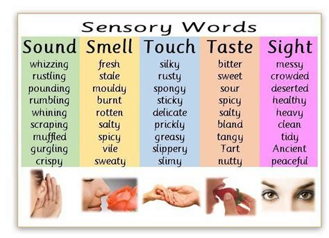 SENSORY WORDS - Creative writing- literacy - SEN - A4 laminated poster - £2.40. Sensory ...