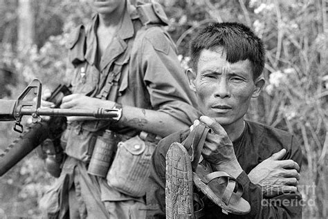 Viet Cong Prisoner With Marine by Bettmann