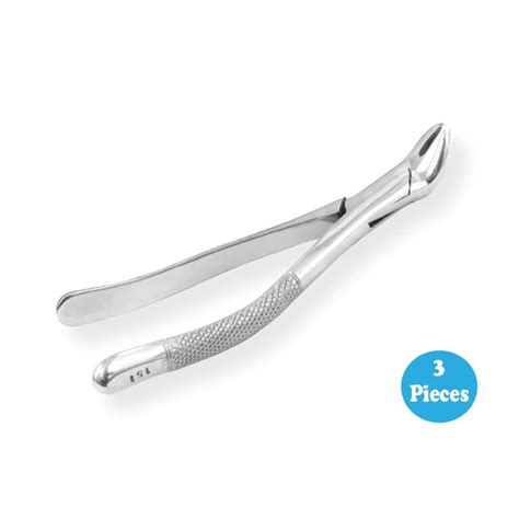 3 Extracting Forceps Dental 151 | Surgical Mart