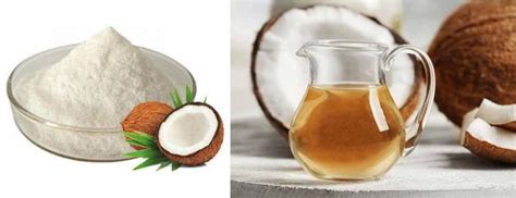 MCT powder vs oil - Blog