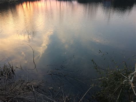 Reflection,sunset,pond,free pictures, free photos - free image from ...