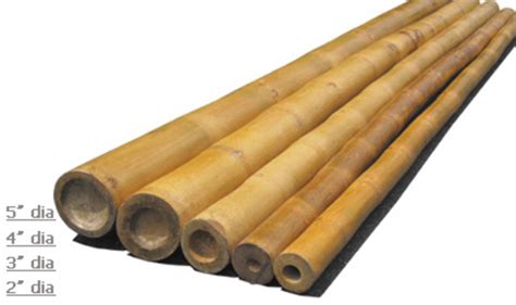 Bamboo Poles Wholesale Cane| Sticks-Solid Bamboo Iron-Wholesale,Constuction, Bamboo Tiki,Home vs ...