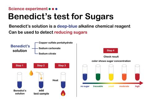 Different Types Of Chemical Reagents And Their Uses