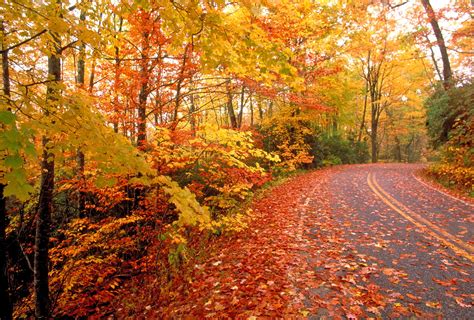 Best Drives in Kentucky for Fall Colors - Kentucky Family Fun