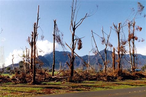 Hurricane Iniki, Kauai, Hawaii, 1992